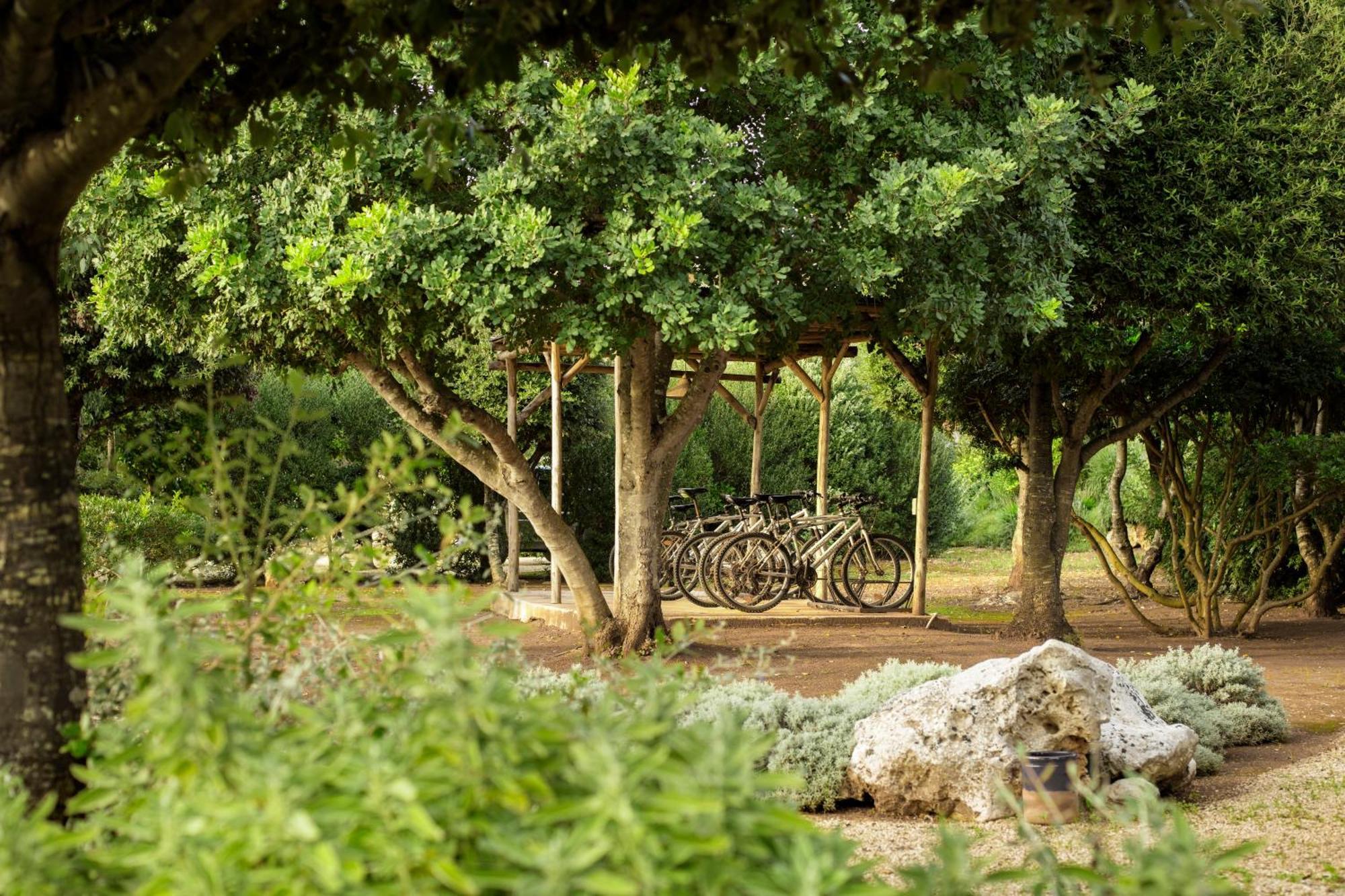 אוג'נטו Masseria Don Cirillo מראה חיצוני תמונה