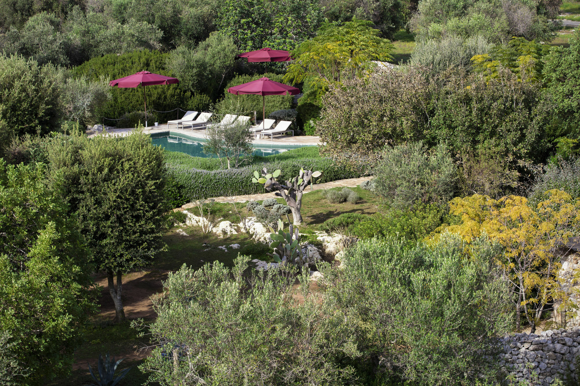אוג'נטו Masseria Don Cirillo מראה חיצוני תמונה